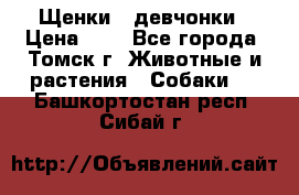 Щенки - девчонки › Цена ­ 2 - Все города, Томск г. Животные и растения » Собаки   . Башкортостан респ.,Сибай г.